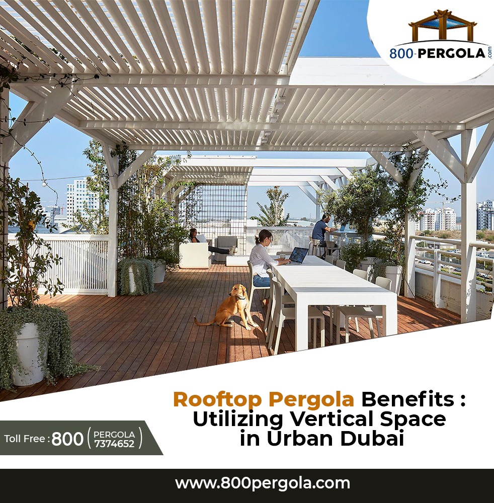 Elevate your urban living with rooftop pergolas in Dubai. Explore the benefits of utilizing vertical space and maximizing your outdoor living with 800-Pergola. Contact Premier pergola developer in Dubai today!